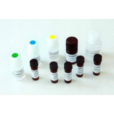 伏马毒素检测试剂盒